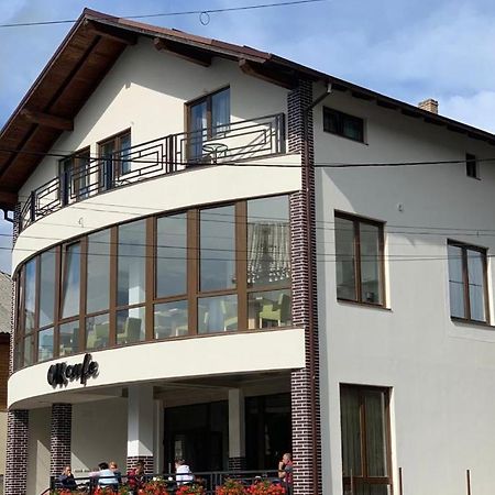 Pensiunea Ok Вишеу-де-Сус Экстерьер фото