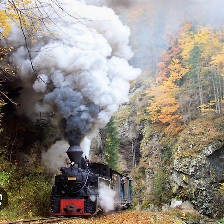 Pensiunea Ok Вишеу-де-Сус Экстерьер фото
